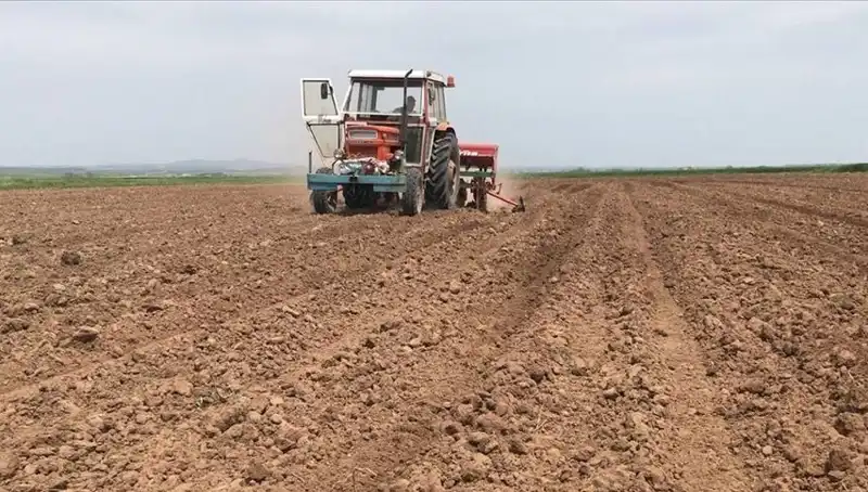 Son 35 Yılda Görülen En Kurak Mart Ayı: Yağışlar Yüzde 59 Azaldı