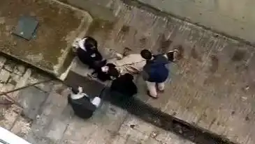 Kampüste Köpek Paniği: Öğrenci 4 Metreden Betona Düştü