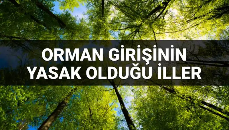 2025 Yılına Özel: Ormana Girmek Yasaklanan İllerin Şaşırtıcı Listesi