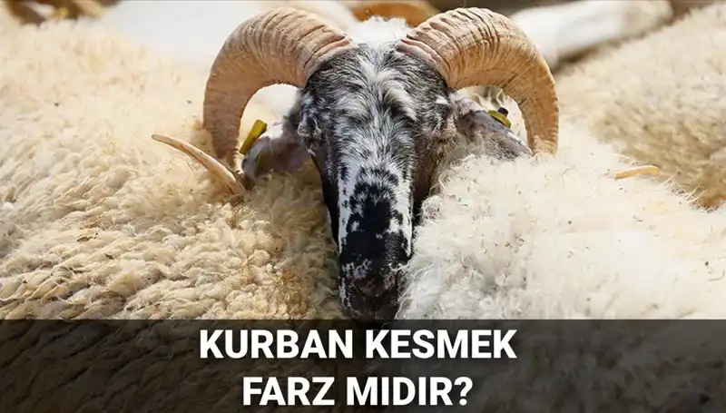 Kurban Kesmenin Dini Hükmü ve Şartları Nedir?