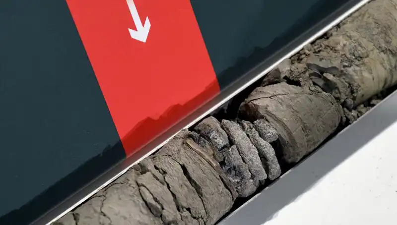 Müze Otoparkında Şok Edici Dinozor Fosili Keşfi: Tarih Yeniden Yazılıyor!