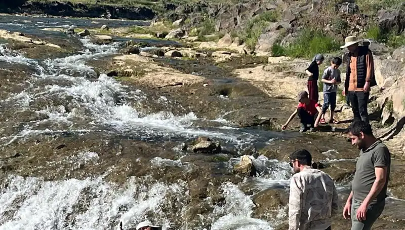 İnci Kefali Göçü: Turistlerin Gözdesi ve Doğanın Büyüleyici Şovu