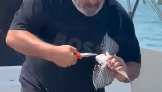 Saros Koyu’nda Eşine Az Rastlanan Kırlangıç Balığı Oltaya Takıldı!