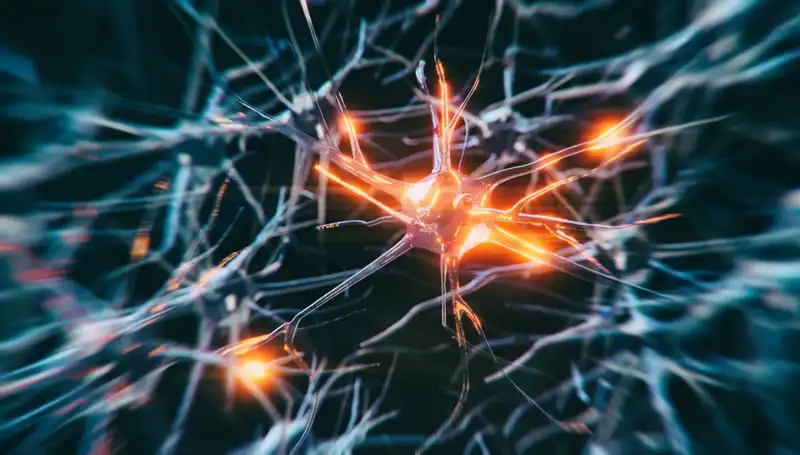 Alzheimer Vakalarında Korkutucu Artışın Sebepleri ve Çözüm Yolları