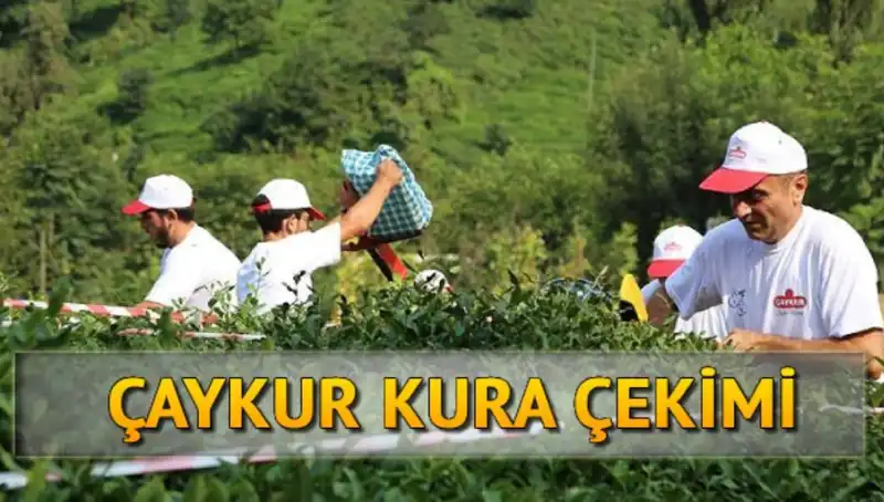 Çaykur Canlı Kura Sonuçları: İsimlerinizi Nasıl Öğrenebilirsiniz?