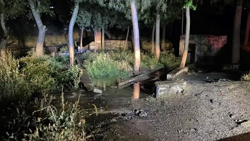 Manisa’da Parkta Şüpheli Ölüm: Olayın Ayrıntıları ve Gözaltılar