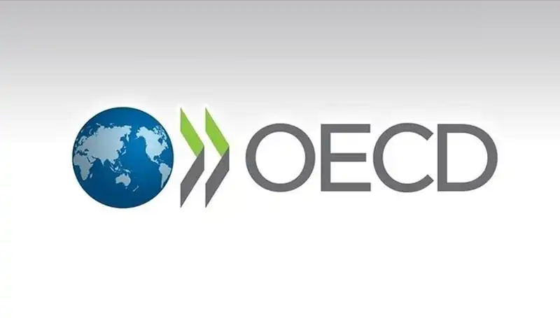 OECD, Türkiye Ekonomisi İçin Büyüme Tahminlerini Yeniden Değerlendirdi
