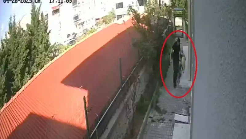 Veteriner Doktorun Şok Edici İddiaları: Sahiplendiği Köpekleri Katletti