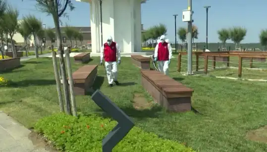 Kene Görülme Sıklığında Endişe Verici Artış: Halka Açık Yerler İlaçlanıyor