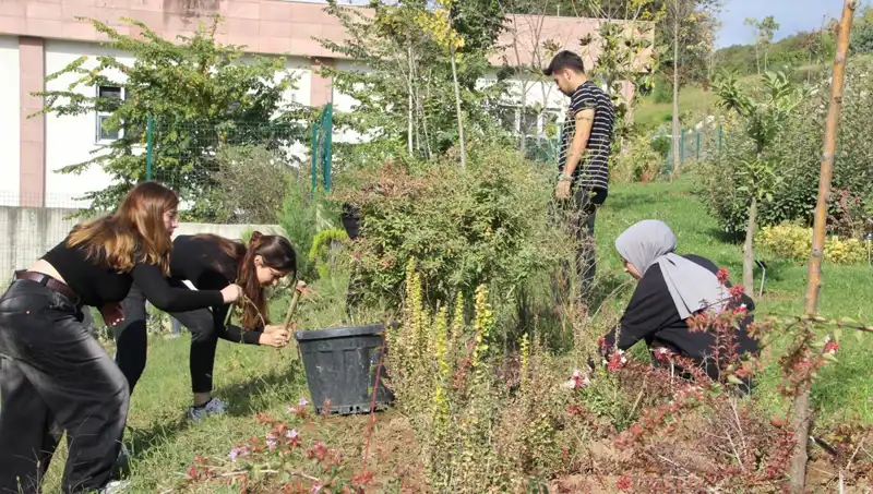 Düzce'nin Gözdesi: Hayaldi Gerçek Oldu, Dünyaya Açılan Kapı