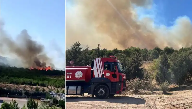 Gebze'de Yangın Alarmı: Orman Alev Alev! Neler Yaşandı?