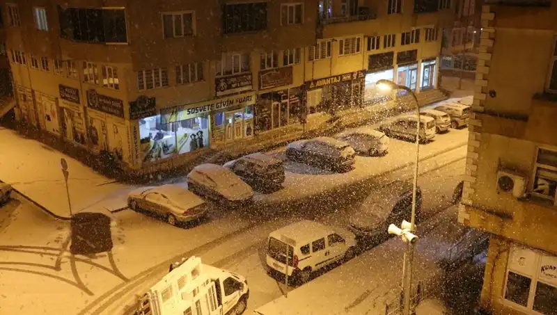 Bir Günde İki Mevsim: Gece Yaşanan Kar, Sabah Baharı Getirdi