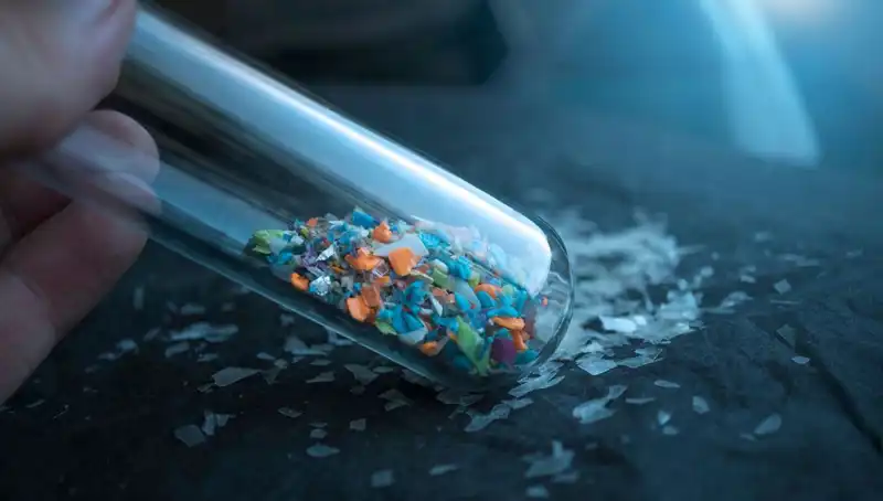 Mikroplastikler İnsan Beynine Ulaşıyor: Bilim Dünyası Ne Diyor?