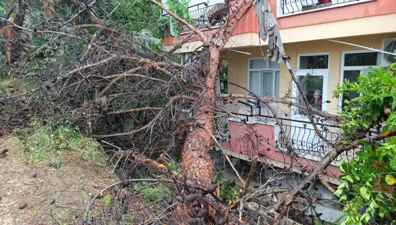 Dev Gölgesi Altında: Yağmurla Kayan Bina Felaketi