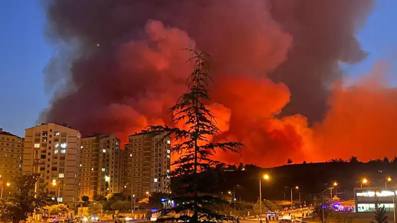 Bursa’da Yangın Alarmı: Şehri Saran Alevlerin Sebepleri ve Son Gelişmeler