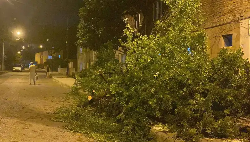 Karabük’te Fırtına Hayatı Felç Etti: Can ve Mal Kaybı Alarm Veriyor!